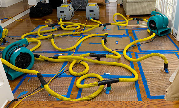 Professional Flood Damage Restoration technician working in Essexville, MI